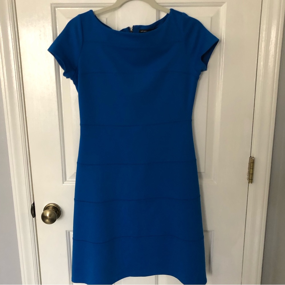 Sapphire Blue Ivanka Trump size 6 business casual dress